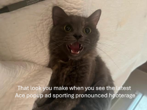 Friskers Ace Pop.PNG